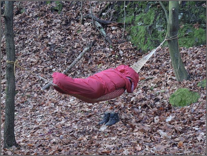 Aplikovan� termomechanika 2014