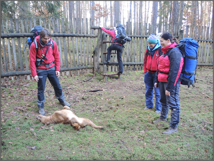 Aplikovan� termomechanika 2014