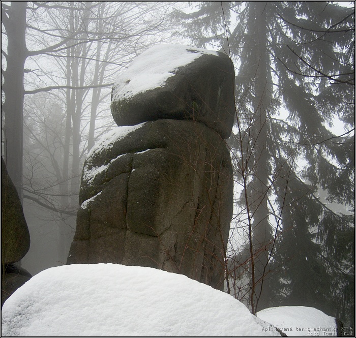 Aplikovan� termomechanika 2015