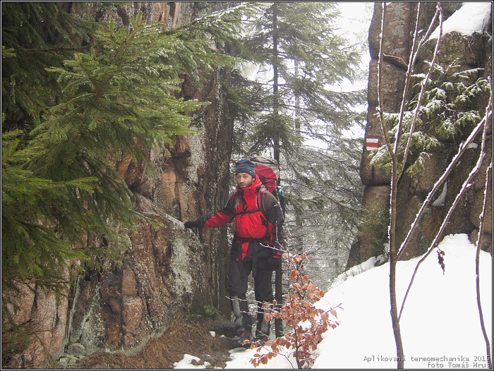 Aplikovan� termomechanika 2015