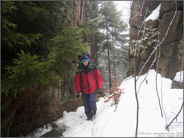 Aplikovan� termomechanika 2015